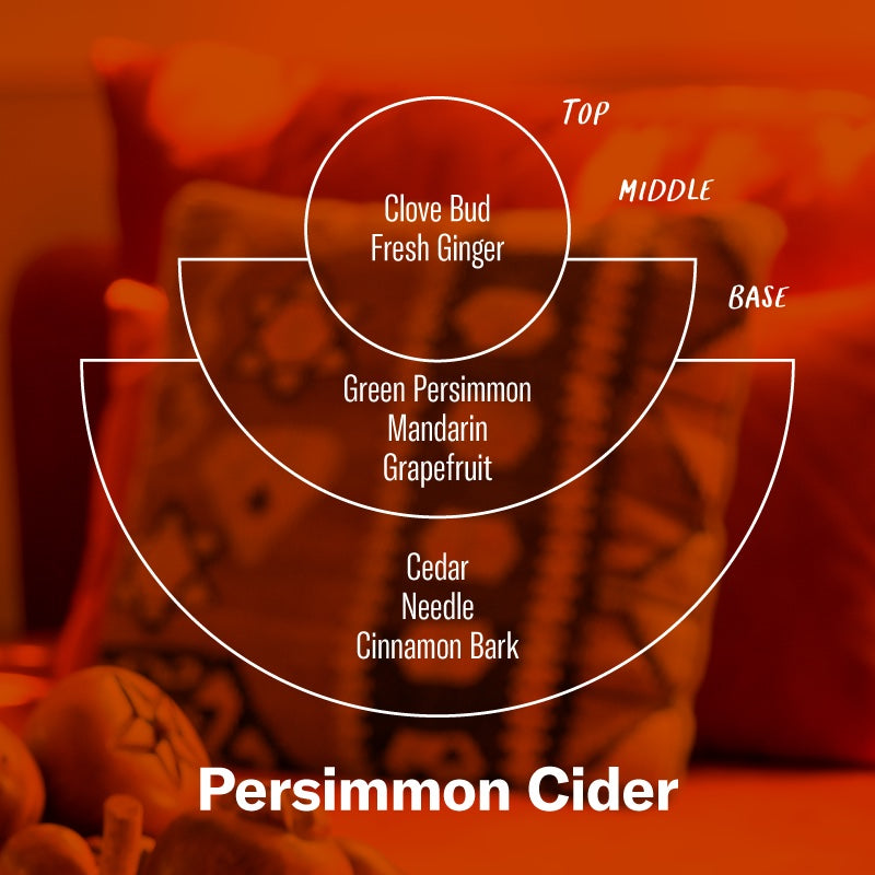 P.F. Candle Co. EU Persimmon Cider Classic Standard Candle - Scent Notes - Top: Clove Bud, Fresh Ginger; Middle: Green Persimmon, Mandarin, Grapefruit; Base: Cedar, Needle, Cinnamon Bark