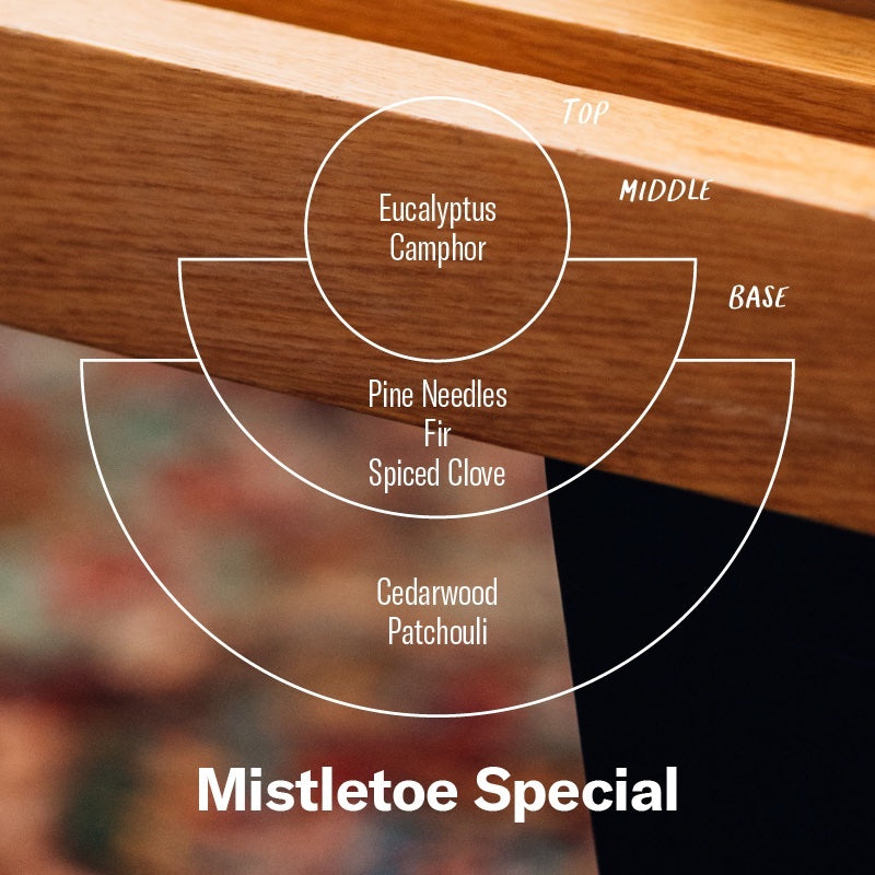 P.F. Candle Co. EU Mistletoe Special Limited Candle - Scent Notes - Top: Eucalyptus, Camphor; Middle: Pine Needles, Fir, Spiced Clove; Bottom: Cedarwood, Patchouli