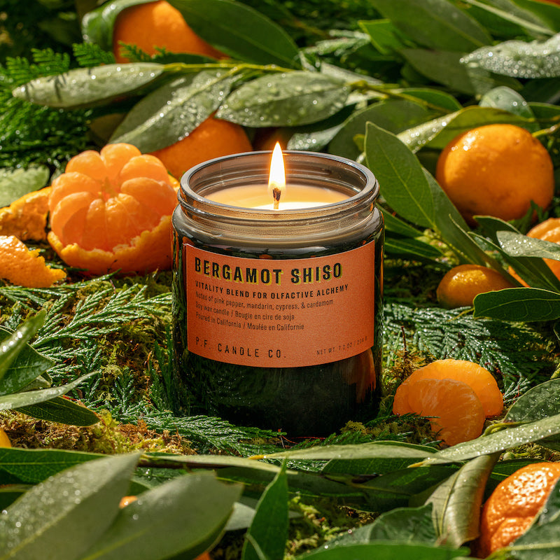 P.F. Candle Co. EU Bergamot Shiso Alchemy Standard Candle - Lifestyle - A vitality blend designed to stimulate uplifting energy, with notes of pink pepper, mandarin, cypress, and cardamom. Inspired by the exuberance of fruiting citrus trees, formulated with upcycled mandarin and cardamom.