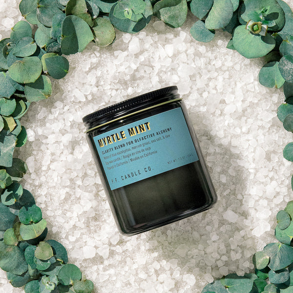 P.F. Candle Co. EU - Myrtle Mint Alchemy 7.2 oz Standard Scented Soy Wax Candle - Lifestyle - A clarity blend to promote focus, with notes of blue eucalyptus, marram grass, sea salt, and dew. Inspired by the lucidity of an herb garden breeze, formulated with upcycled lemon and eucalyptus.