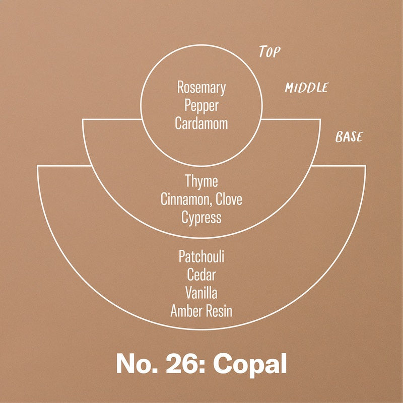 P.F. Candle Co. EU Copal - Scent Notes - Top: Rosemary, Pepper, Cardamom; Middle: Thyme, Cinnamon, Clove, Cypress; Base: Patchouli, Cedar, Vanilla, Amber Resin