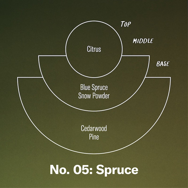 P.F. Candle Co. EU Spruce - Scent Notes - Top: Citrus; Middle: Blue Spruce, Snow Powder; Base: Cedarwood, Pine