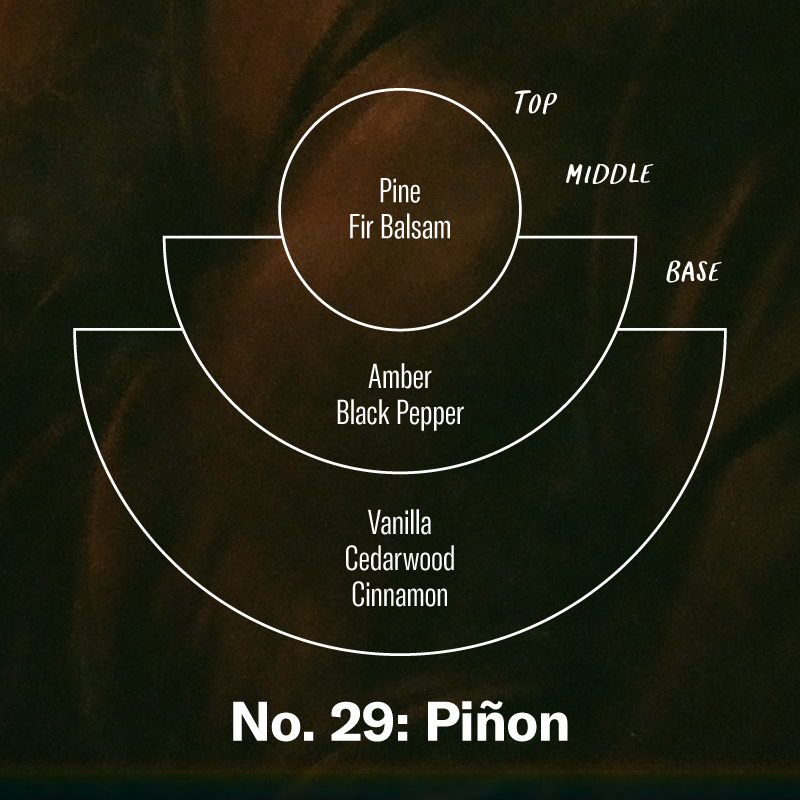 P.F. Candle Co. EU - Piñon– 12.5 oz Soy Candle - Scent Notes - Top: Pine, Fir Balsam; Middle: Amber, Black Pepper; Base: Vanilla, Cedarwood, Cinnamon