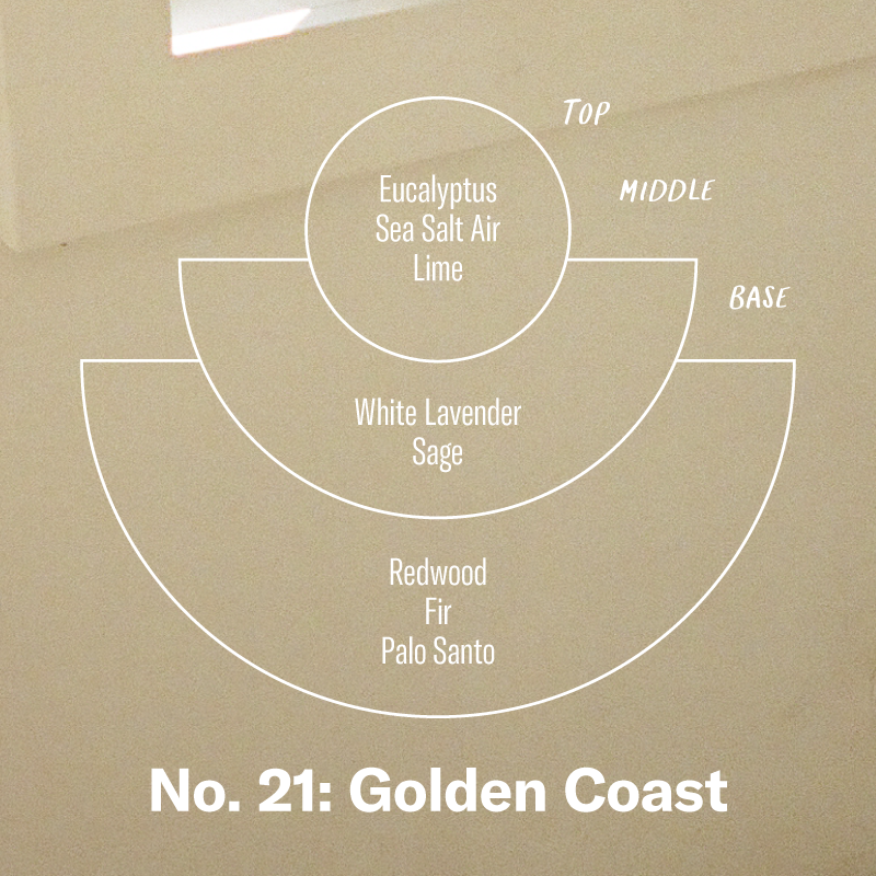 P.F. Candle Co. EU - No. 21: Golden Coast 3.5 Oz Mini Soy Candle - Scent Notes - Top: Eucalyptus, Sea Salt Air, Lime; Middle: White Lavender, Sage; Base: Redwood, Fir, Palo Santo