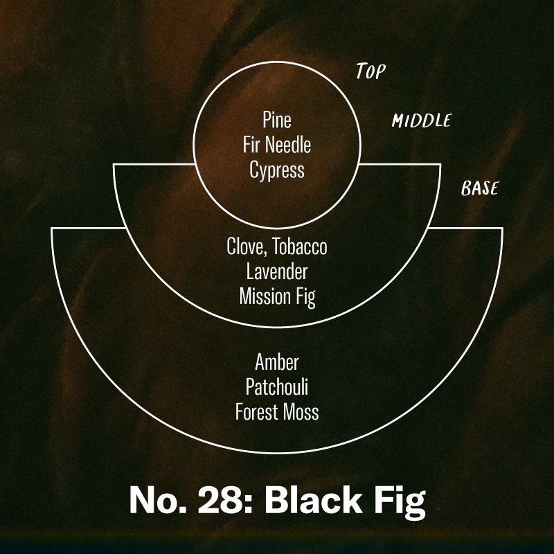 P.F. Candle Co. EU Black Fig Standard Candle - Scent Notes - Top: Pine, Fir Needle, Cypress; Middle: Clove, Tobacco, Lavender, Mission Fig; Base: Amber, Patchouli, Forest Moss