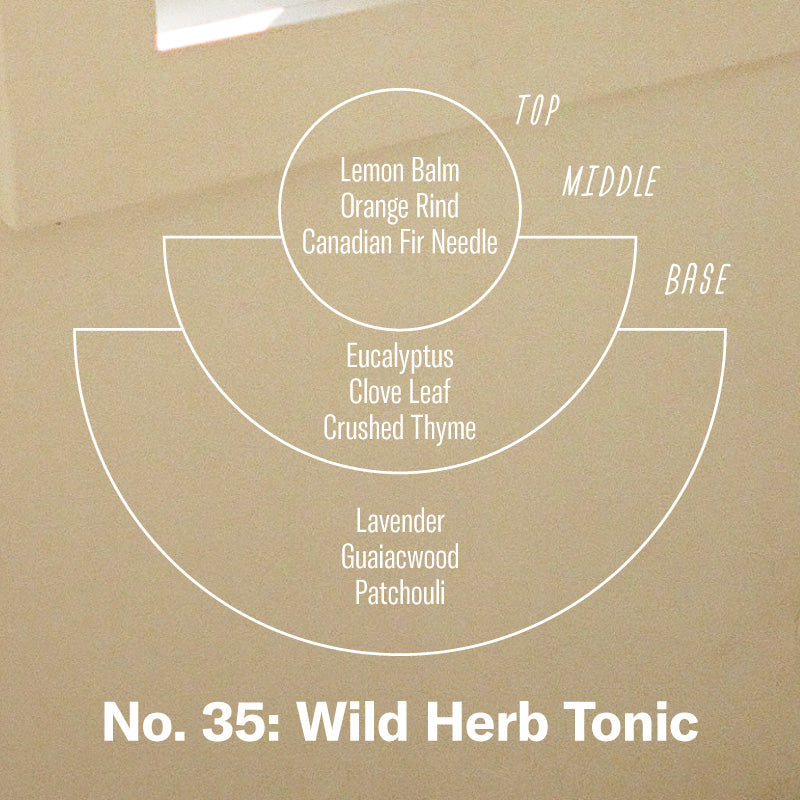P.F. Candle Co. EU - Wild Herb Tonic Classic 7.2 oz Standard Scented Soy Wax Candle - Scent Notes - Top: Lemon Balm, Orange Rind, Canadian Fir Needle; Middle: Eucalyptus, Clove Leaf, Crushed Thyme; Base: Lavender, Guaiacwood, Patchouli