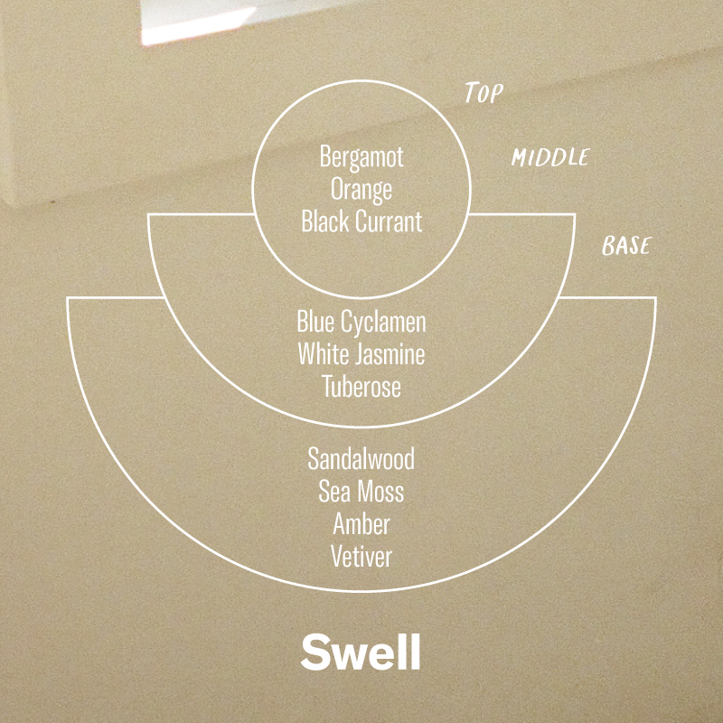 P.F. Candle Co. EU Swell Sunset Reed Diffuser - Scent Notes - Top: Bergamot, Orange, Black Currant; Middle: Blue Cyclamen, White Jasmine, Tuberose; Base: Sandalwood, Sea Moss, Amber, Vetiver